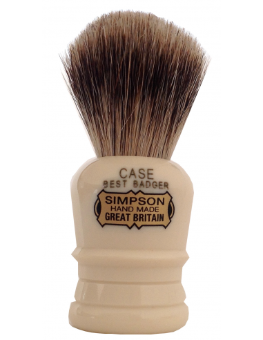 Simpsons "Case" Best Badger