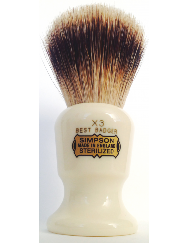 Simpsons "Commodore X3" Best Badger